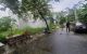 thum-9178882_b810Pkzs59_1740321267.jpg