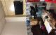 thum-9178885_2BV1P5LwEs_1740322054.jpeg