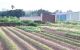 thum-m_Wnfl4XEQPV_1740313660.jpg