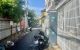 thum-m_bJ0oCeMZaX_1740283402.jpg
