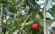 thum-9178983_HDkTAB7rz0_1740372855.jpg