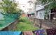 thum-9179140_5aYIBX4MP6_1740453040.jpg