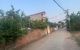 thum-9179233_l94bfaAEPZ_1740470614.jpg