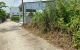 thum-9179282_1k08Sz6tmw_1740478988.jpeg