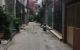 thum-9179303_Xdiz5nDKw4_1740490989.jpg