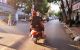 thum-m_alHFqsERGA_1740446269.jpg