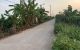 thum-m_cgJL7pSFTx_1740470609.jpg