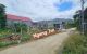thum-m_13GPpmMNW5_1740665315.jpg