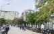 thum-9180161_xOeFiypbP4_1740819599.jpg
