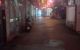 thum-m_kWV47pXbsq_1740795530.jpg