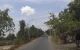 thum-9180384_zRDkUn5lTL_1740959219.jpeg