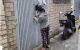 thum-9180726_OQ8vap4qWe_1741058764.jpg