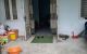 thum-m_KBVDw0ZqHf_1741052016.jpg