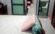 thum-m_dSH0RO7cLn_1741051279.jpg