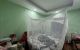 thum-9180925_BzFcSVKwGN_1741139483.jpg