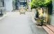thum-9180986_XpVjc2vJCB_1741150334.jpeg