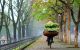 thum-9181157_GNl5pXzjK4_1741226823.jpg