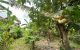 thum-9181302_DTxYv82WPa_1741252473.jpg