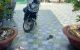 thum-9181367_djwKt6TNsB_1741285496.jpg