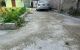 thum-9181523_IEHVQzegFX_1741359443.jpeg
