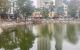 thum-m_p6jZduNlYm_1741307448.jpg