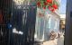 thum-m_wrX0vqtYOn_1741335351.jpg