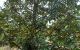 thum-m_mzMkRN6qbh_1741432802.jpg