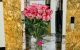thum-9181747_w1s2Tixtnr_1741457501.jpg
