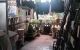 thum-m_Dw5YR0JubA_1741477650.jpeg