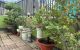 thum-9182054_yphnNlBPt5_1741600129.jpeg