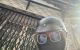 thum-m_FlSfA28wXg_1741584473.jpg
