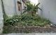 thum-m_bt1PoqxT0i_1741575117.jpg
