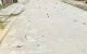 thum-9182156_G56t39KC1P_1741661565.jpg