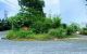 thum-9182239_WeT6bNkYsw_1741677392.jpg