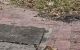 thum-9182545_FU4pHwO09V_1741771547.jpeg