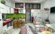 thum-9182619_mkZh07l4jt_1741830679.jpg