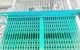 thum-m_dShUz1Q6ix_1741853673.jpg