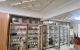 thum-9182889_0Bv8b1flU4_1741923038.jpg