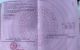thum-9063351_M60qPfwxgO_1741998586.jpg