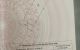 thum-9183126_wVJ9YRGMl2_1742024616.jpg