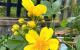 thum-9183130_fkL2cdIZ14_1742025739.jpg