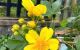 thum-m_DONQPcMhlG_1742028375.jpg