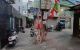 thum-9183511_gdvGZN4Qkq_1742197142.jpg