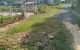thum-9183538_3RBxoCPrZS_1742202441.jpg