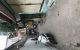 thum-m_hM1PBdsk8G_1742233086.jpg