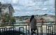 thum-9183920_7k9ONdSYbZ_1742349257.jpg