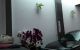 thum-9184256_3Eq8io5V2L_1742456934.jpg