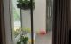 thum-9184256_ZyYwbcLO6o_1742456922.jpg