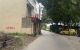 thum-9184352_UkzB0exSZ5_1742476987.jpg
