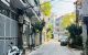 thum-m_0jJyG3HgNU_1742435185.jpg